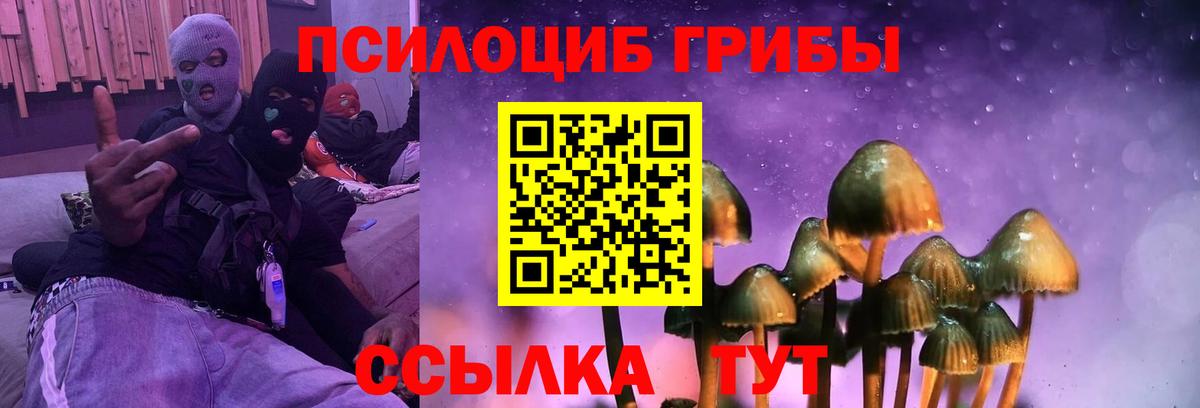 Верхний Уфалей  Галлюциногенные грибы Cubensis  Вход с VPN  где купить наркоту  Псилоцибиновые грибы Cubensis 